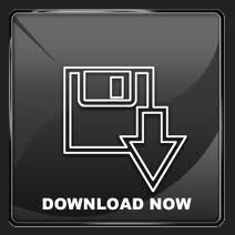 Download Blitz Document